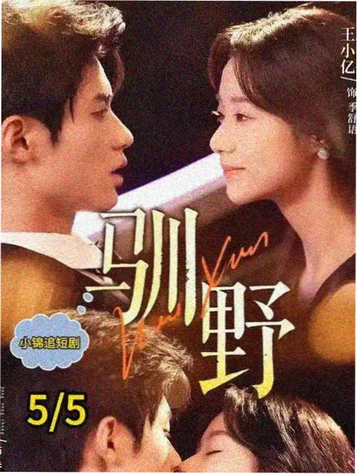 猪猪影院工业群像剧铁轨上的月亮海报